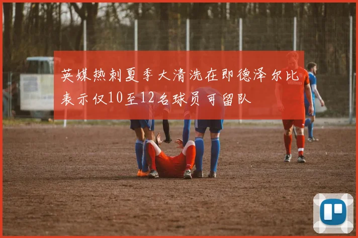 英媒热刺夏季大清洗在即德泽尔比表示仅10至12名球员可留队
