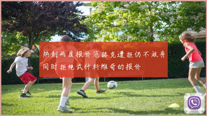 热刺两度报价范赫克遭拒仍不放弃同时拒绝武什科维奇的报价