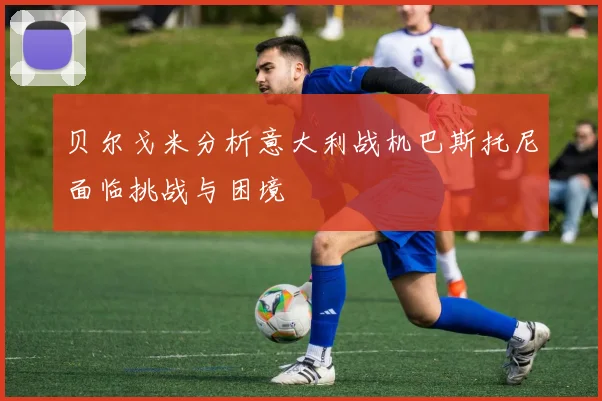 贝尔戈米分析意大利战机巴斯托尼面临挑战与困境