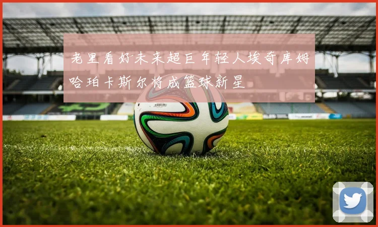 老里看好未来超巨年轻人埃奇库姆哈珀卡斯尔将成篮球新星